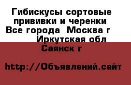 Гибискусы сортовые, прививки и черенки - Все города, Москва г.  »    . Иркутская обл.,Саянск г.